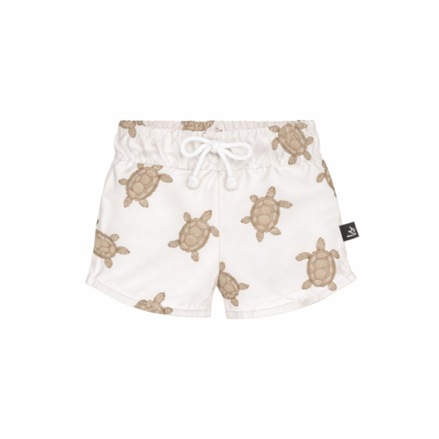 Zwembroek turtles