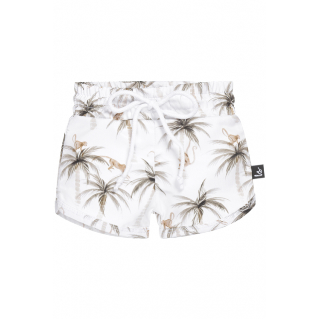 Zwembroek monkey party